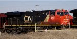 CN 2901